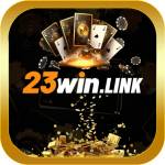 23winlink Profile Picture