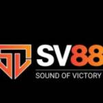 SV 88 Profile Picture