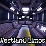 Westland Limos Profile Picture