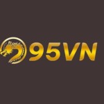 95VN deal Profile Picture