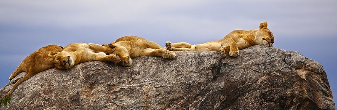 Heart of Africa Expedition Cover Image