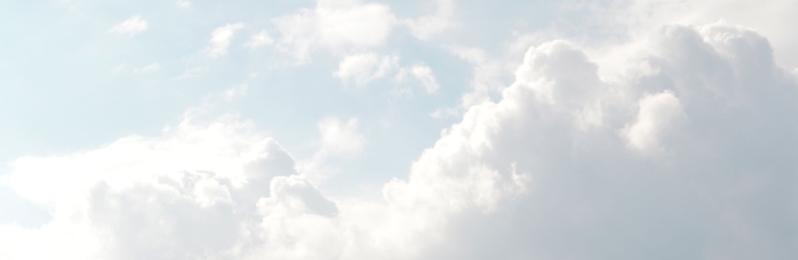 Airlines missed flight Cover Image