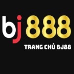 BJ888 Profile Picture