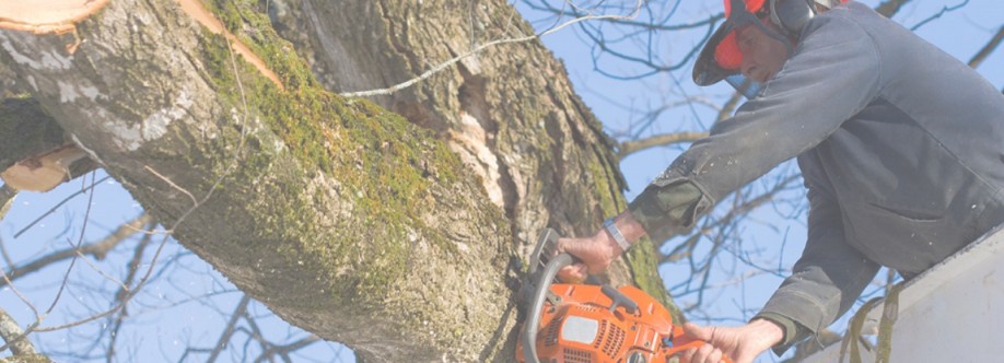 KD Tree Service Rochester NY Cover Image