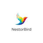 Nestor Bird Profile Picture