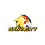 gavangtv gà vàng Profile Picture