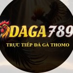 ĐÁ GÀ DAGA789 Profile Picture