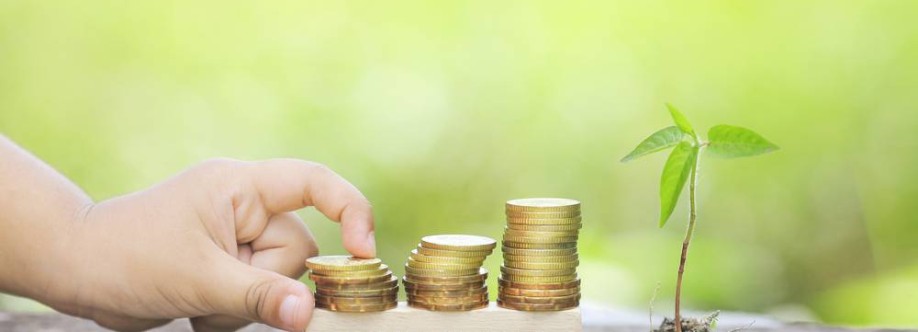 Money Maximising Advisors Limited Cover Image