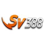 Sv388 Profile Picture