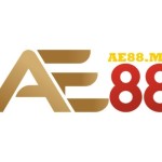 AE88 Profile Picture