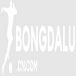 BongDaLu Profile Picture