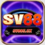 SV88 Profile Picture