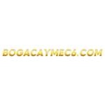 bogacaymec6 com Profile Picture