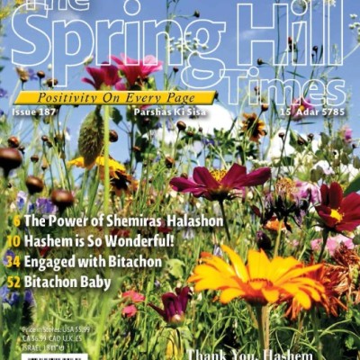 The Spring Hill Times Issue 187 Ki Sisa 5785 Profile Picture