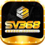 SV368 Profile Picture