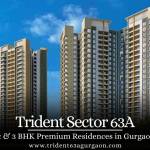 Trident Sector 63A Gurgaon Profile Picture