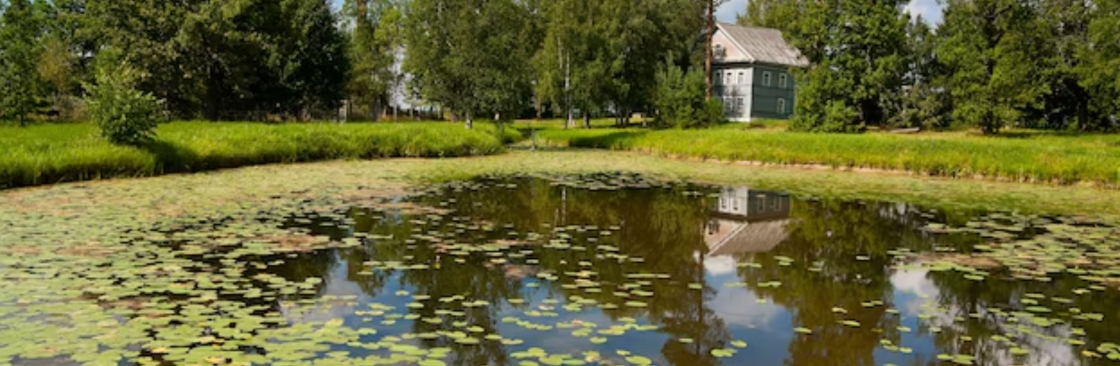 Aquatic Restoration Cover Image