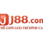 J88 Winhost Profile Picture