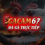 GACAM67 Trực tiếp đá gà Profile Picture