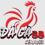 Đá Gà 88 Services Profile Picture