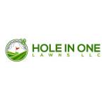 Hole In One Lawns LLC Profile Picture