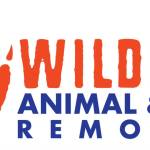 Wildlife Removal Central FL Profile Picture