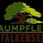 Baumpflege Falkensee Profile Picture