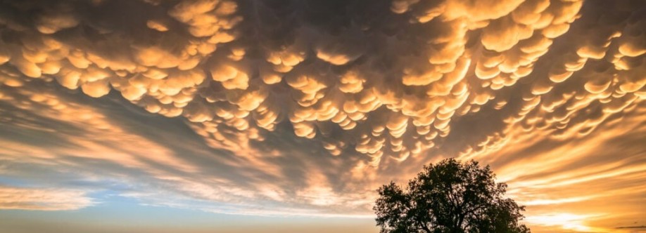 Storm Chasing Adventure Tours Cover Image