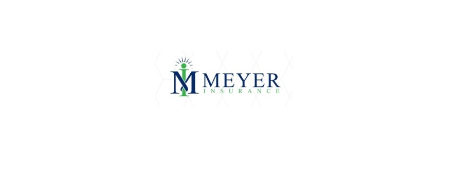 William W Meyer Cover Image