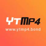 YTMP4 Town Profile Picture