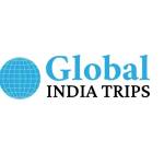 Global India Trips Profile Picture