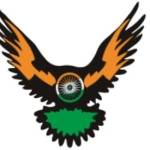 nri wings Profile Picture