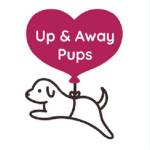 Up and Away Pups Profile Picture