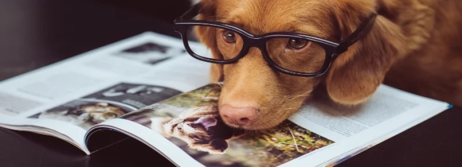 Dookie Doctors Pet Waste Removal Cover Image