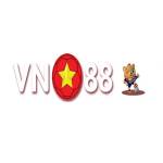 VN 88 Profile Picture