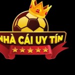 Nhà cái uy tín Profile Picture