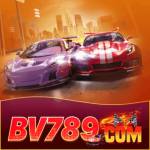bv 789 Profile Picture