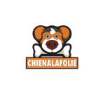 CHIENALA FOLIE Profile Picture