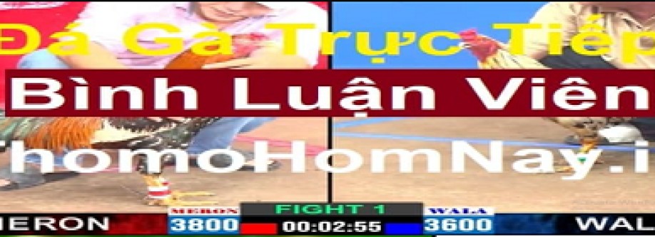 Thomohomnay ĐÁ GÀ THOMO TRỰC TIẾP Cover Image