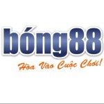 Nhà cái bong88 Profile Picture