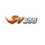 SV388 Profile Picture