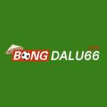 Bongdalu 66 app Profile Picture