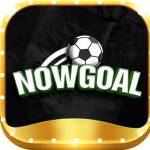 NowGoal Livescore KQBD Tỷ Số Trực Tuyến Mới Nhất Profile Picture