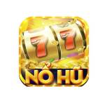 blognohu net Profile Picture