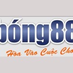 Bong88 Link Vào Bong88 Profile Picture
