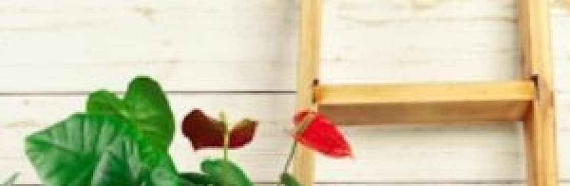 Houseplant Essentials Cover Image