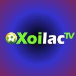 xoilactviicc thao túng kết quả tìm kiếm Profile Picture