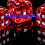 gizmodouol combr Profile Picture