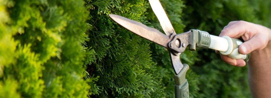 Richard Linsday Cover Image