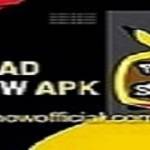 PikaShow APK Profile Picture